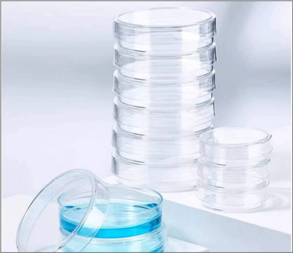 cell Culture Dishes